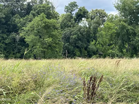 39 Tributary Dr, Sevierville, TN 37876