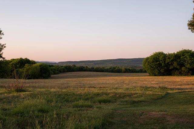 778 County Road 65, Collinsville, AL 35961