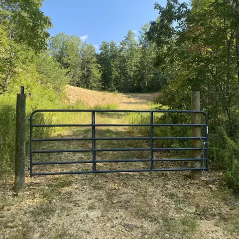 401 Napier Rd, Hohenwald, TN 38462