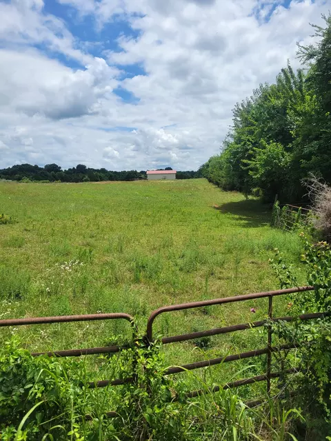 0 Midland Fosterville, Bell Buckle, TN 37020