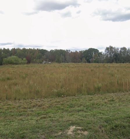 0 Old Shelbyville Hwy, Tullahoma, TN 37388
