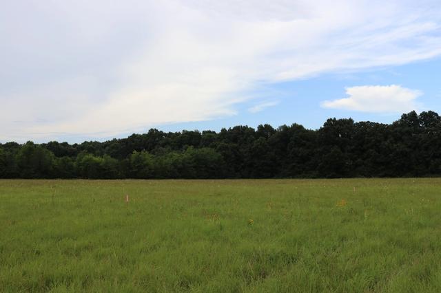 0 Laws Hill Rd, Lewisburg, TN 37091