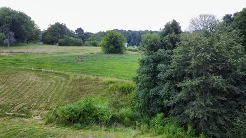 Other - 354 Dyer Ridge Rd, Baxter, TN 38544 photo 4 of 33