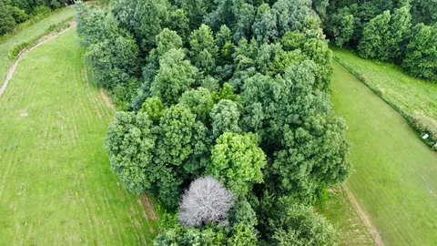 View/Area - 354 Dyer Ridge Rd, Baxter, TN 38544 photo 2 of 2