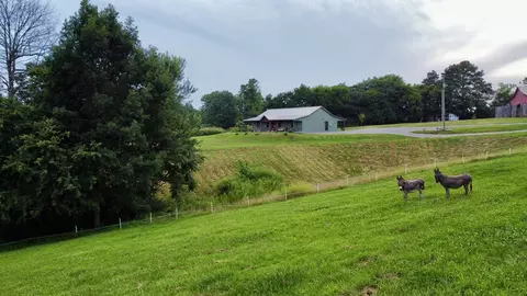 Other - 354 Dyer Ridge Rd, Baxter, TN 38544 photo 9 of 33