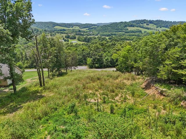 0 Matt Dr, Bell Buckle, TN 37020