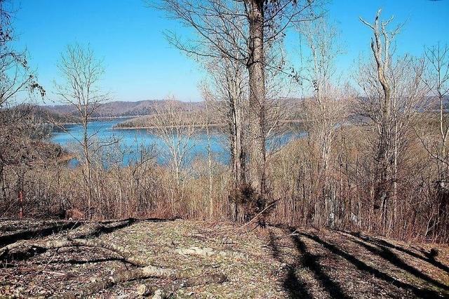 413 Maury Ln, Smithville, TN 37166
