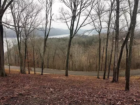 410 Wilson Cir, Smithville, TN 37166
