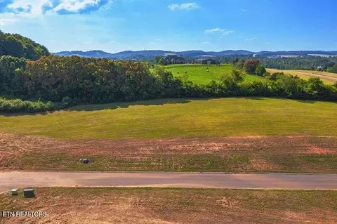 4 Pine Meadows Dr, White Pine, TN 37890 photo 2
