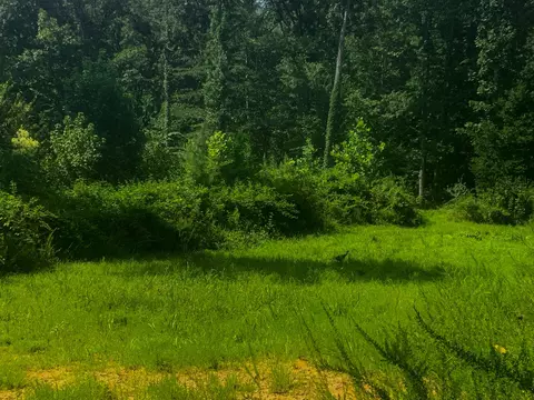 0 Topside Dr, Dover, TN 37058 photo 19