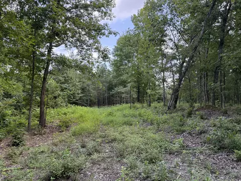 0 Topside Dr, Dover, TN 37058 photo 3