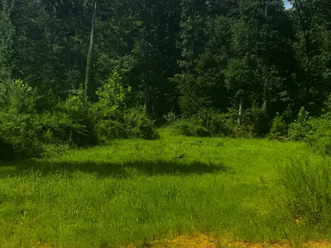 0 Topside Dr, Dover, TN 37058 photo 21