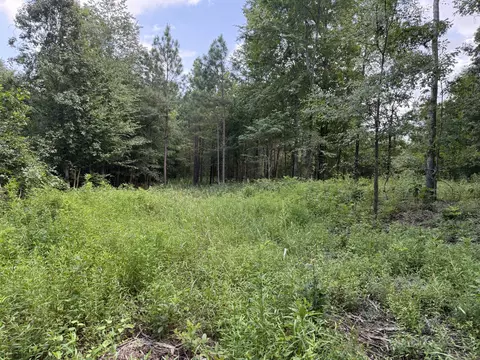 0 Topside Dr, Dover, TN 37058 photo 25