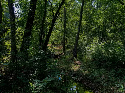 0 Topside Dr, Dover, TN 37058 photo 10