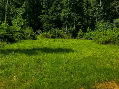 0 Topside Dr, Dover, TN 37058 photo 7