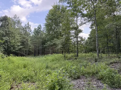 0 Topside Dr, Dover, TN 37058 photo 24