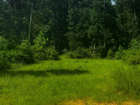 0 Topside Dr, Dover, TN 37058 photo 2