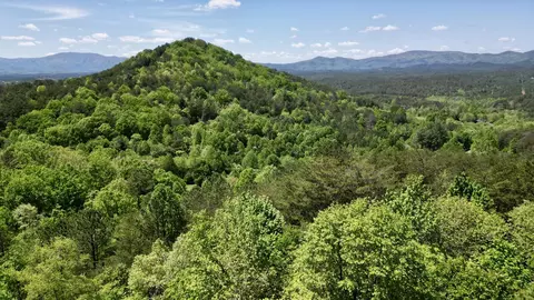 1011 Golf Course Rd, Copperhill, TN 37317
