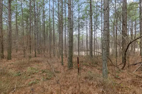 0 Melody Dr, Guild, TN 37340 photo 31