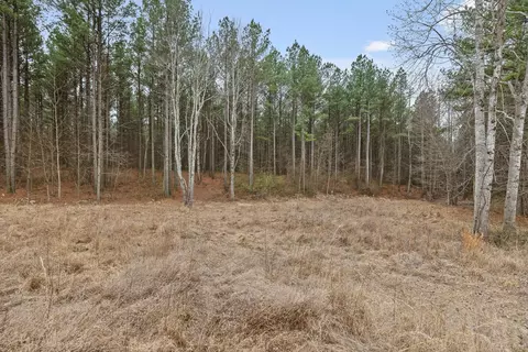 0 Melody Dr, Guild, TN 37340 photo 11