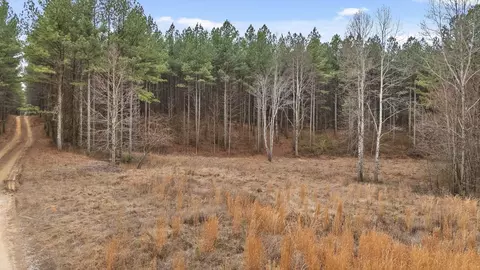 0 Melody Dr, Guild, TN 37340 photo 14