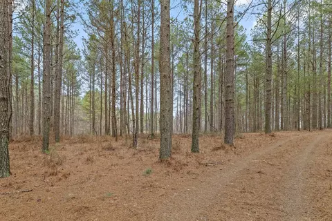 0 Melody Dr, Guild, TN 37340 photo 4