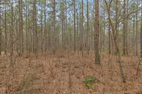 0 Melody Dr, Guild, TN 37340 photo 3