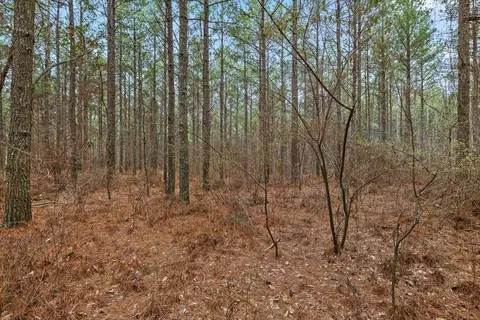 0 Melody Dr, Guild, TN 37340 photo 6