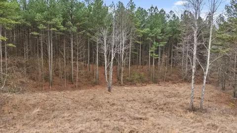 0 Melody Dr, Guild, TN 37340 photo 15