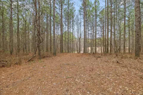 0 Melody Dr, Guild, TN 37340 photo 1
