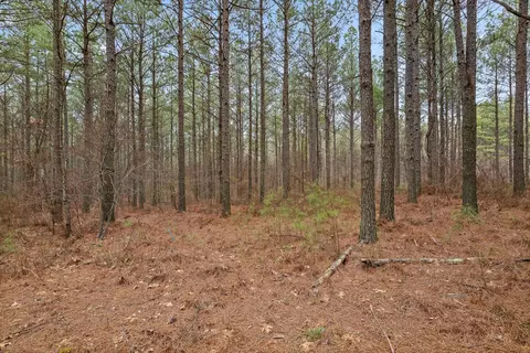 0 Melody Dr, Guild, TN 37340 photo 5