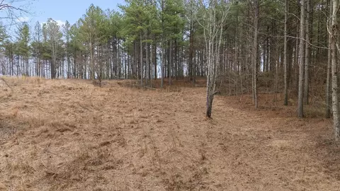 0 Melody Dr, Guild, TN 37340 photo 18