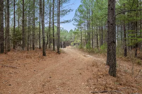 5370 River Bend Rd, Guild, TN 37340 photo 13