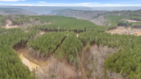 5370 River Bend Rd, Guild, TN 37340 photo 27