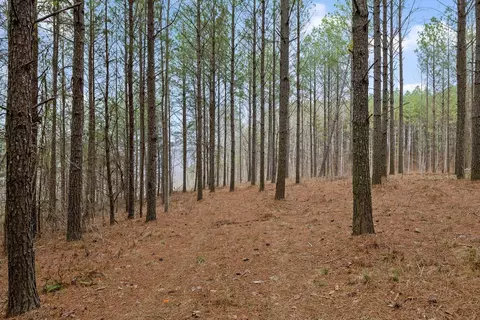 5370 River Bend Rd, Guild, TN 37340 photo 10