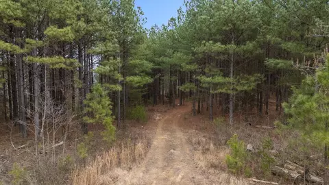 5370 River Bend Rd, Guild, TN 37340 photo 20