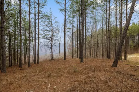 5370 River Bend Rd, Guild, TN 37340 photo 6