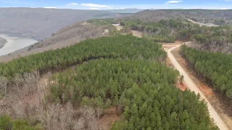 5370 River Bend Rd, Guild, TN 37340 photo 25