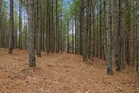 5370 River Bend Rd, Guild, TN 37340 photo 9