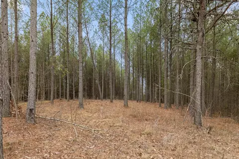 5370 River Bend Rd, Guild, TN 37340 photo 7