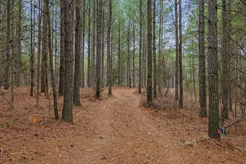 5370 River Bend Rd, Guild, TN 37340 photo 11