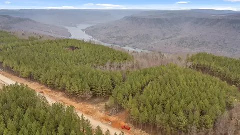 5370 River Bend Rd, Guild, TN 37340 photo 30
