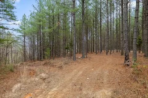 5370 River Bend Rd, Guild, TN 37340 photo 14
