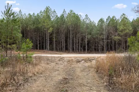 5370 River Bend Rd, Guild, TN 37340 photo 15