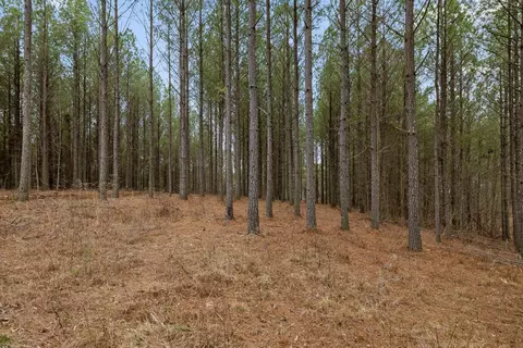 5370 River Bend Rd, Guild, TN 37340 photo 8
