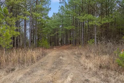 5370 River Bend Rd, Guild, TN 37340 photo 16