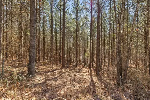 0 Wildlife Way, Guild, TN 37340 photo 11