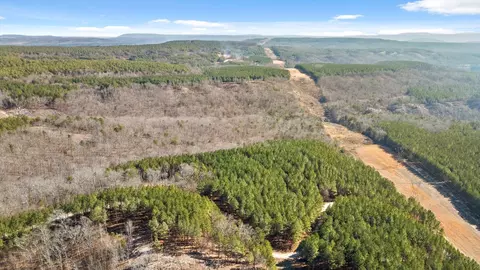 0 Wildlife Way, Guild, TN 37340 photo 43