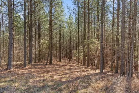 0 Wildlife Way, Guild, TN 37340 photo 9