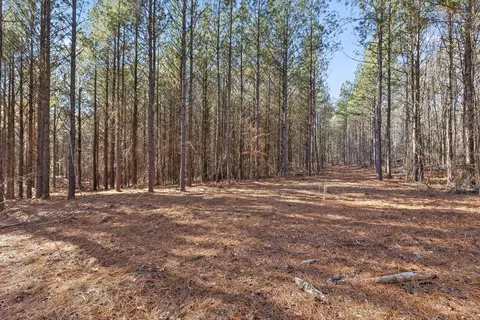 0 Wildlife Way, Guild, TN 37340 photo 4